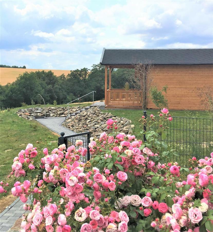 Wellness-Ferienhaus Eifel Feeling Apartament Gillenbeuren Zewnętrze zdjęcie